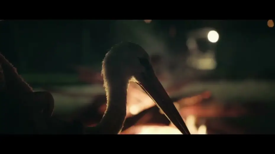 Video for the film The Tale of Silyan — THE TALE OF SILYAN clip