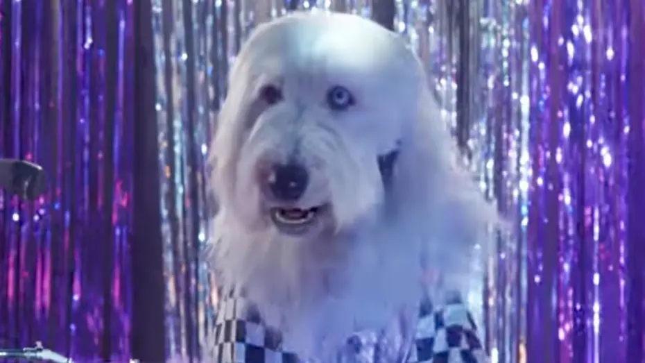 Video for the film Pup Star: Better 2Gether — Music Video - Shake Your Tail