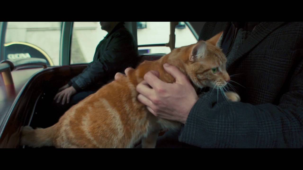 Video for the film A Street Cat Named Bob — A Street Cat Named Bob - Bus Clip - At Cinemas November 4
