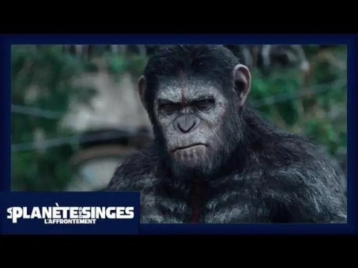 Video for the film Dawn of the Planet of the Apes — La Planète des Singes : L'Affrontement - Extrait Les singes ne veulent pas la guerre [Officiel] VF