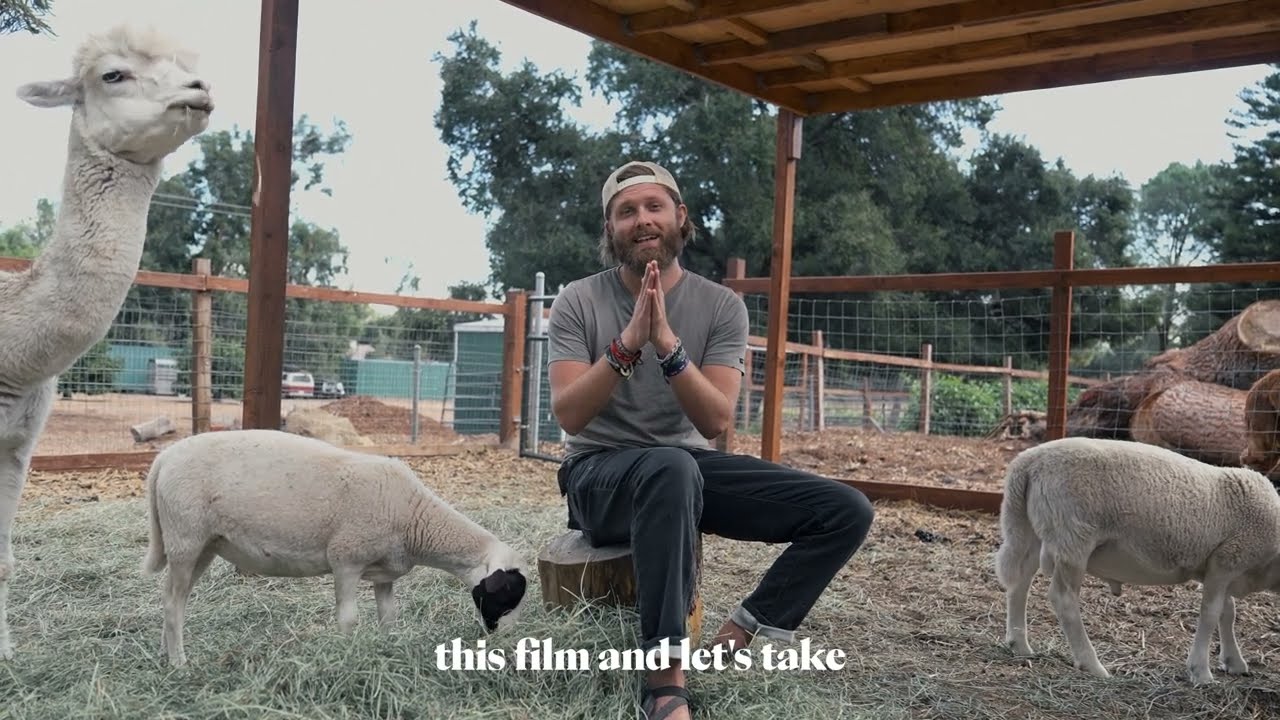 Video for the film Christspiracy — We rescued Lambs from Ritual Slaughter! Plus, Red Carpet Giveaway!