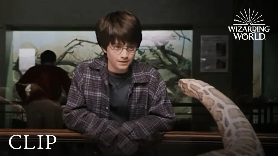 Video for the film Harry Potter and the Philosopher's Stone — Harry and the Snake