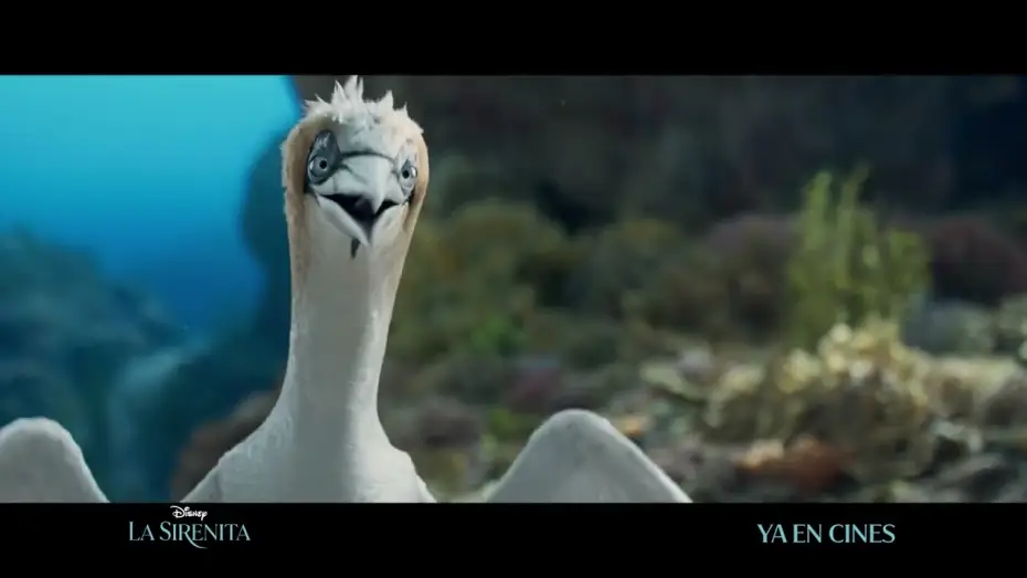 Video for the film The Little Mermaid — Anuncio: '¿Qué tengo aquí?'