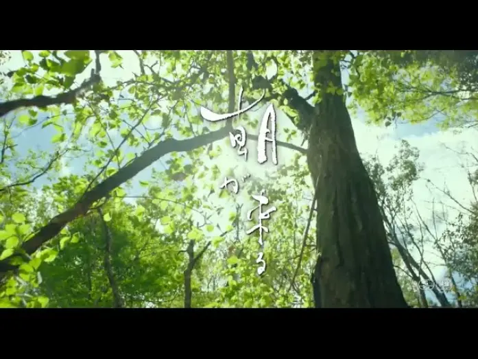 Video for the film True Mothers — #BIFF2020 Gala Presentation - True Mothers / 갈라 프레젠테이션 - 트루 마더스