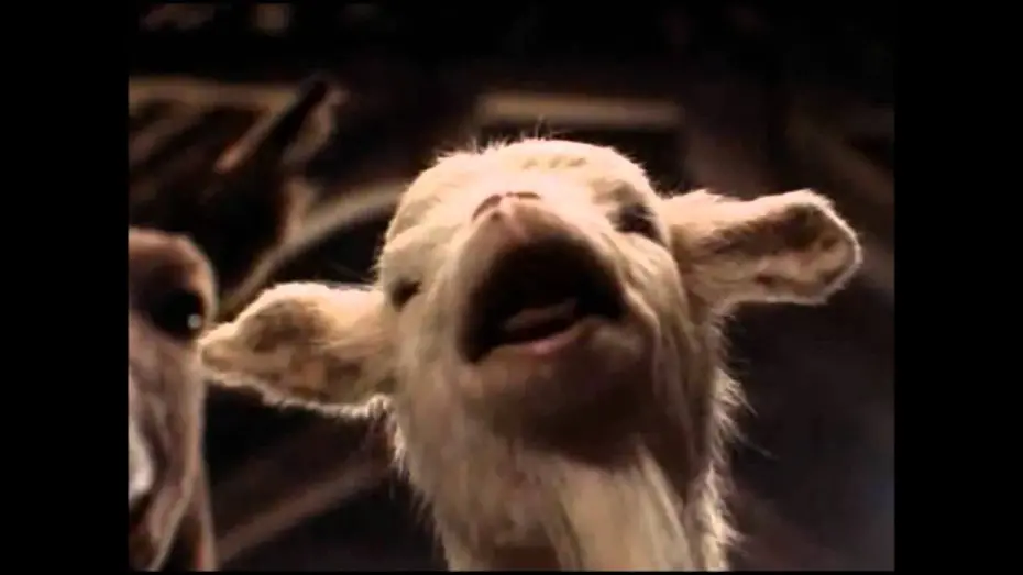 Video for the film Animal Farm — Animal Farm trailer