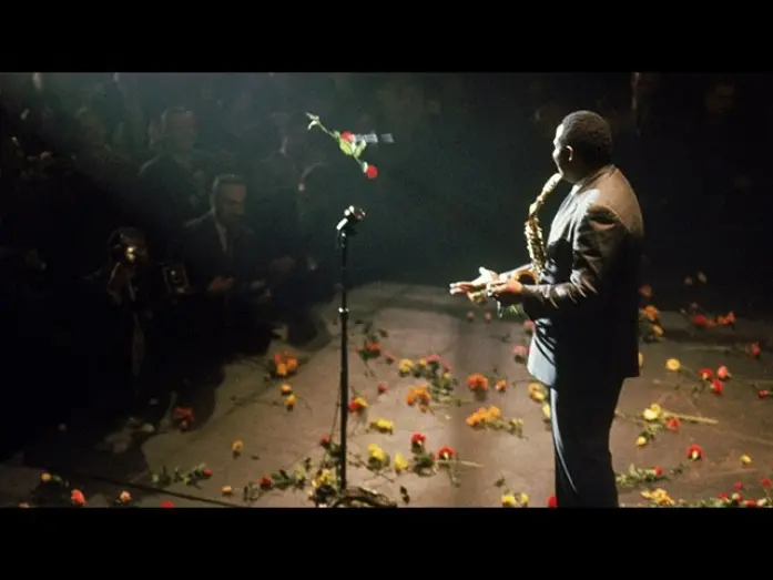 Video for the film Bird — Theatrical Trailer