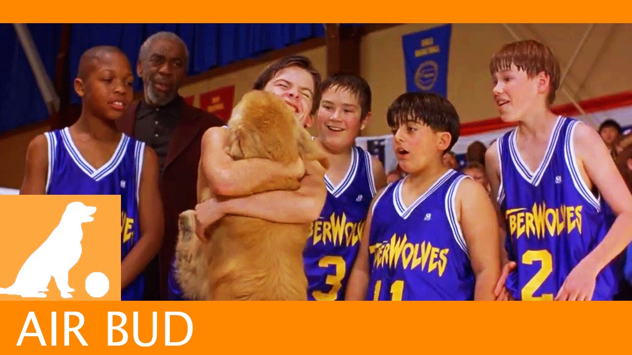 Video for the film Air Bud — Air Bud Sports News - Model Teammate