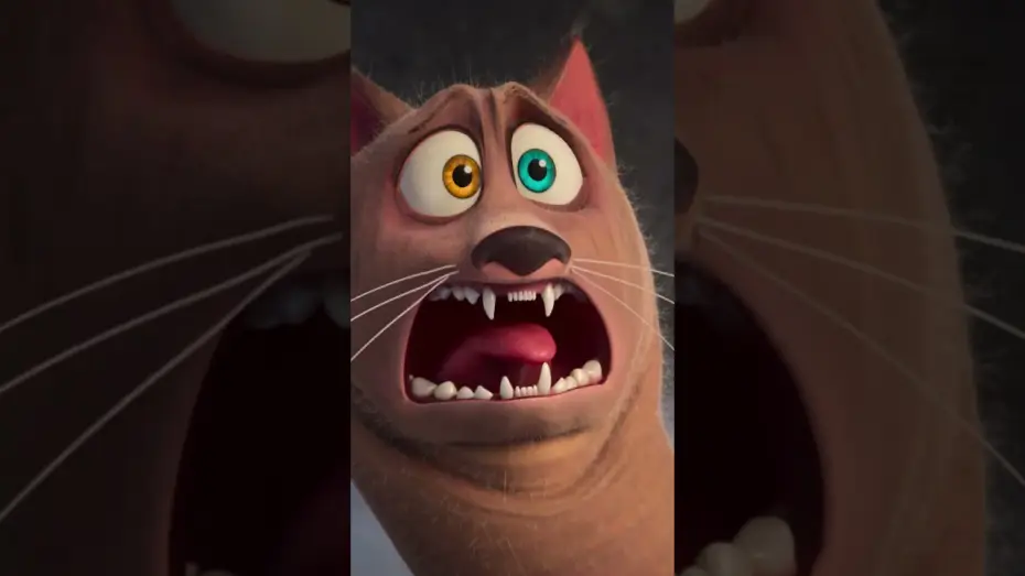 Video for the film Hitpig — ONLY IN THEATERS NOV. 1