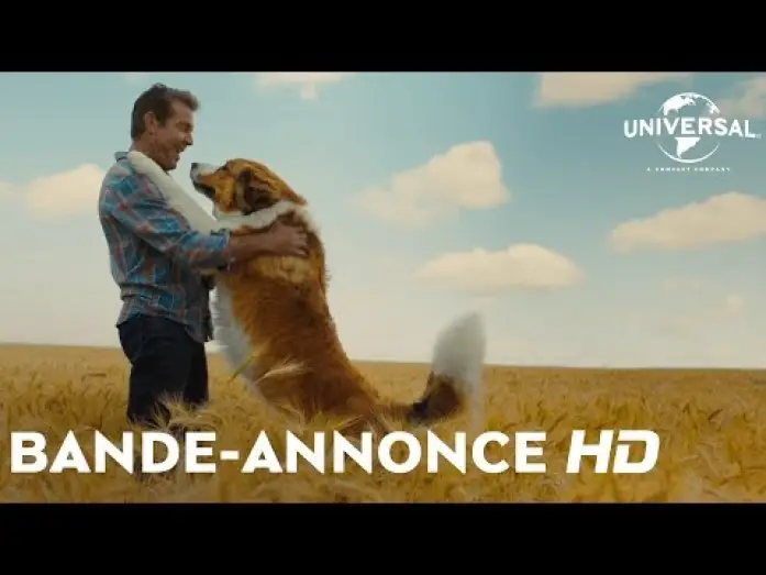 Video for the film A Dog's Journey — Mes Autres Vies de Chien - Bande Annonce VOST