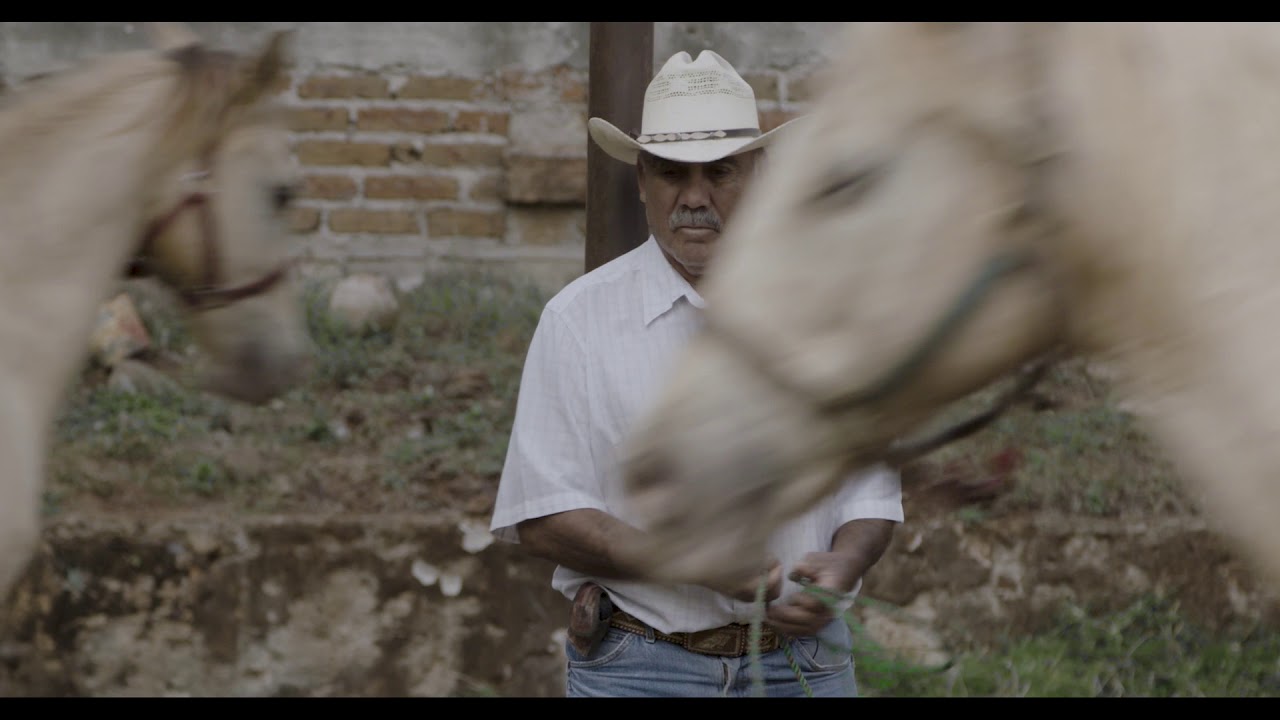 Video for the film Horse Wrangler — IDFA 2018 | Trailer | Caballerango