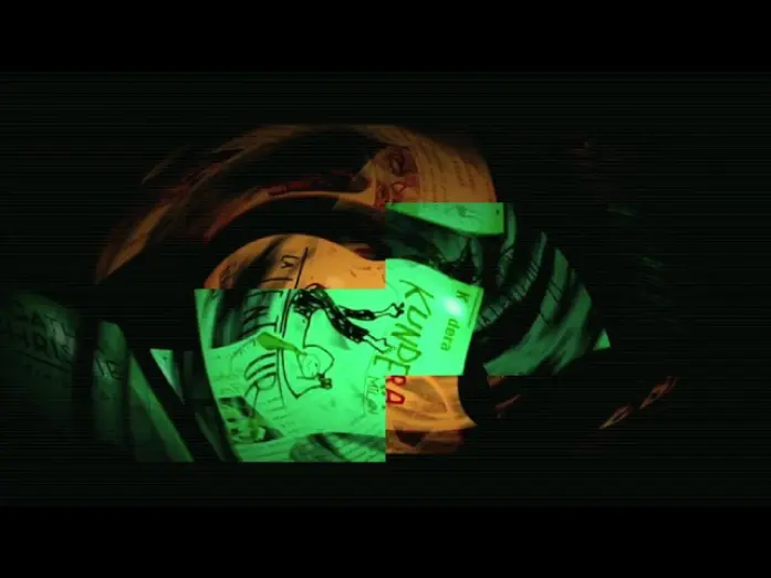 Video for the film La nuit littéraire — LNL.mp4