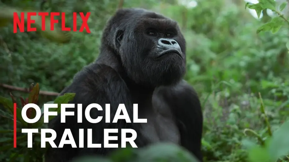 Video for the film A Gorilla Story: Told by David Attenborough — Official Trailer