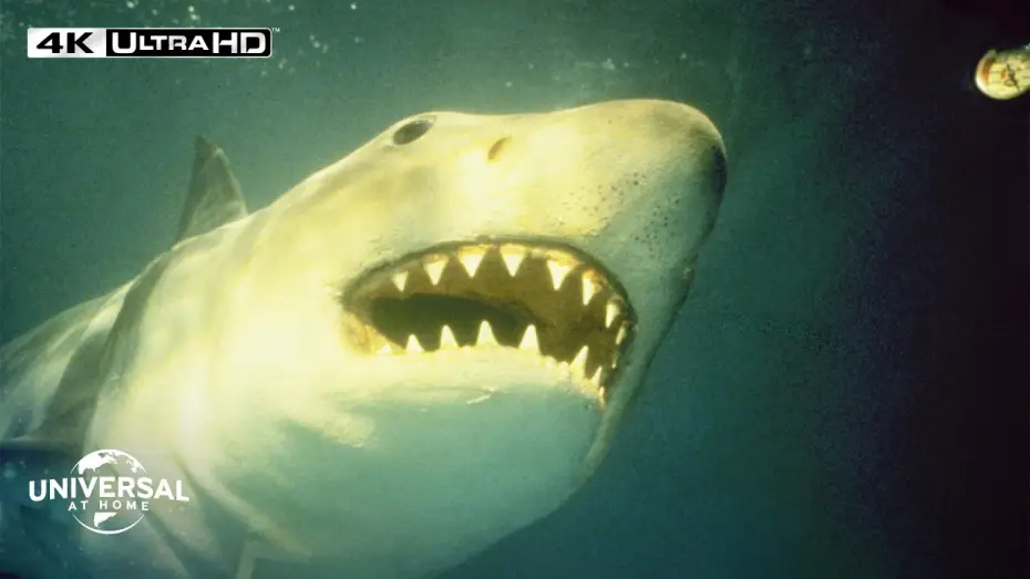 Video for the film Jaws 3-D — Shark Strikes When Nobody Expects - Extended Preview