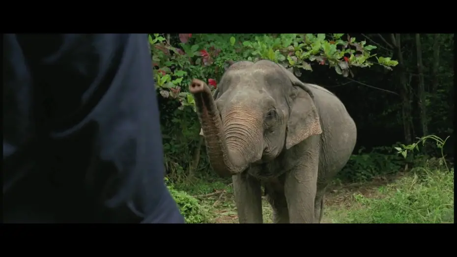 Video for the film Mammoth — Mammoth - Trailer 1 [HD]