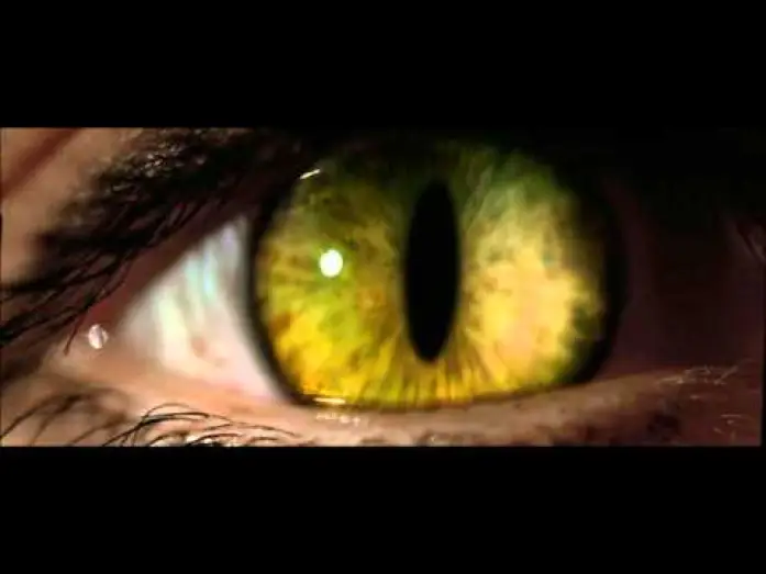 Video for the film Catwoman — catwoman trailer ita