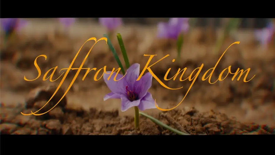 Video for the film Saffron Kingdom — Official Trailer 2