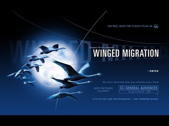 Video for the film Winged Migration — Winged Migration - Le Peuple Migrateur | Official Trailer