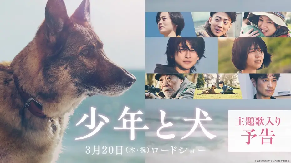 Video for the film The Boy and the Dog — 【主題歌 SEKAI NO OWARI「琥珀」】映画『少年と犬』主題歌入り予告映像【3月20日(木・祝)公開】