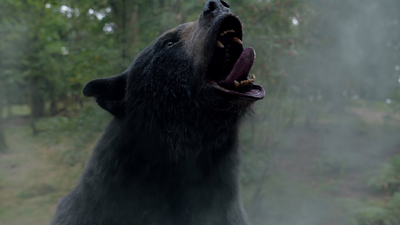 Video for the film Cocaine Bear — Ведмідь під кайфом. Офіційний трейлер