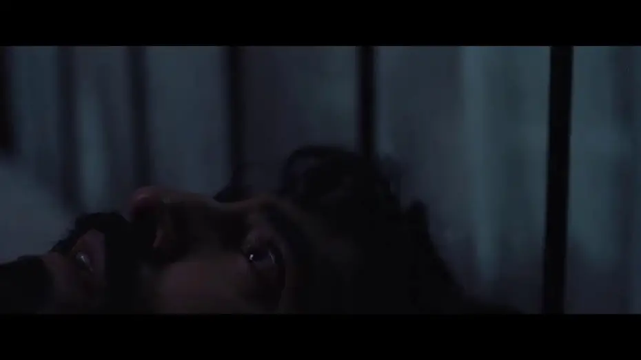Video for the film Rabbit Trap — are you listening?