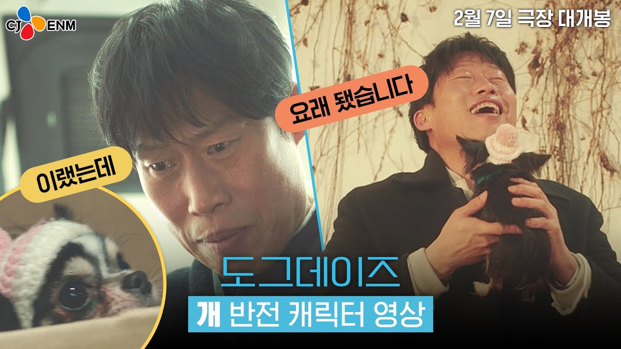 Video for the film Dog Days — 우리 가족을 소'개' 합니다! [도그데이즈] 개반전 캐릭터 영상