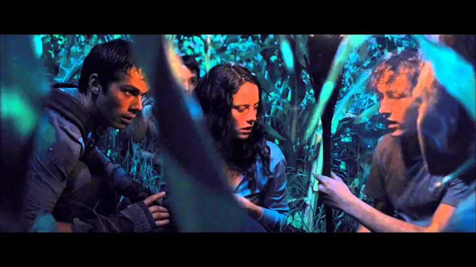 Video for the film The Maze Runner — Le Labyrinthe - Extrait Attaque nocturne [Officiel] VF HD