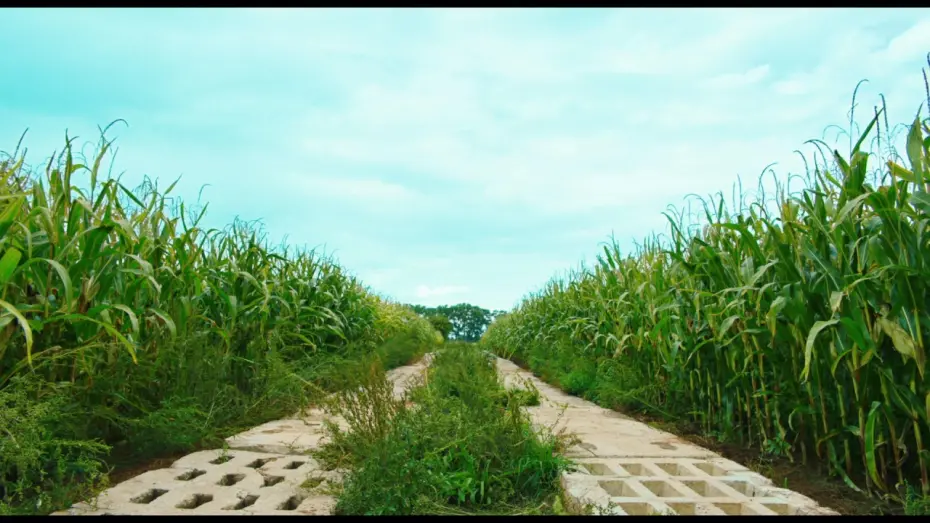Video for the film Goodbye Berlin — Trailer