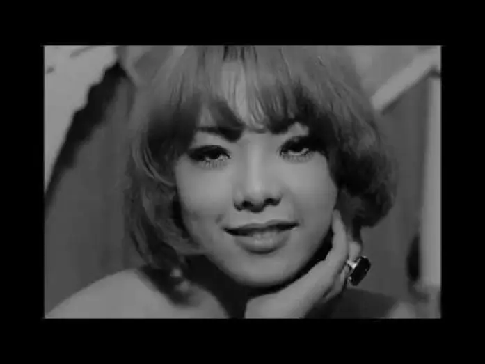 Video for the film Funeral Parade of Roses — Les Funérailles des roses - Bande Annonce VOST