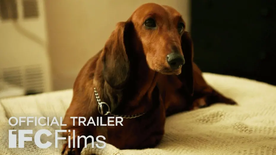 Video for the film Wiener-Dog — Official Trailer