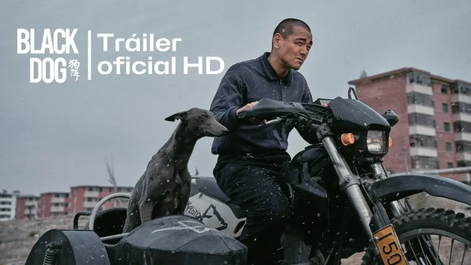 Video for the film Black Dog — BLACK DOG (2024) 🇨🇳 Tráiler oficial español (HD) #trailer #estreno #blackdog #cinechino