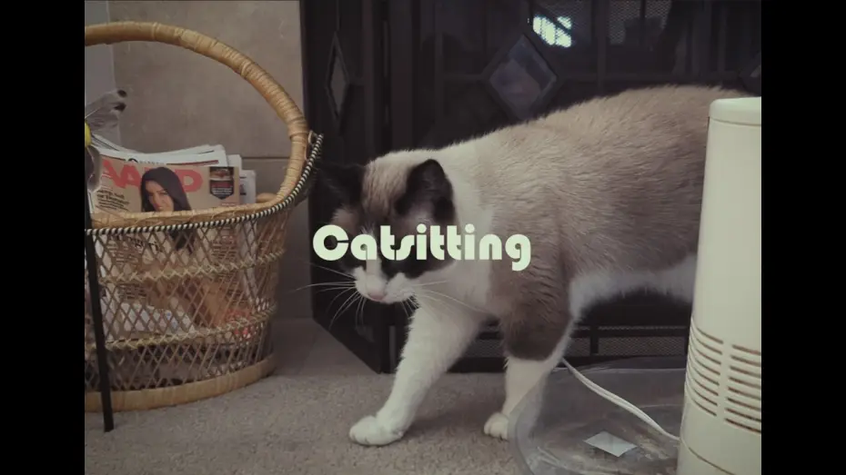 Video for the film Catsitting — Catsitting: A Found Footage Horror