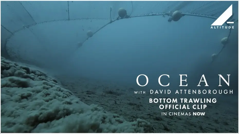 Video for the film Ocean with David Attenborough — Bottom Trawling Official Clip