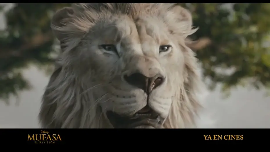 Video for the film Mufasa: The Lion King — Anuncio: 'Este reino me pertenece'
