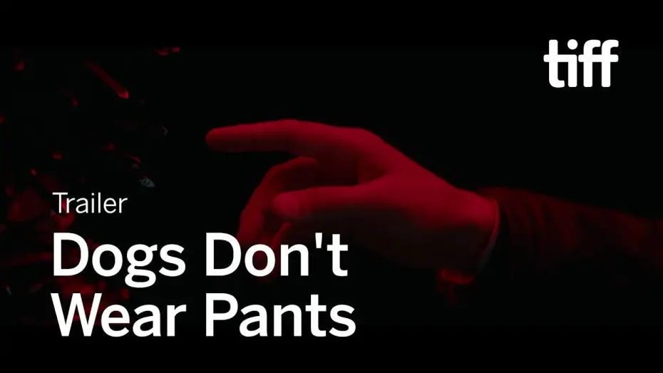 Video for the film Dogs Don't Wear Pants — DOGS DON'T WEAR PANTS Trailer | TIFF 2019