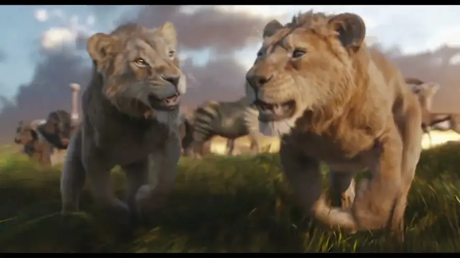 Video for the film Mufasa: The Lion King — In Theaters Now