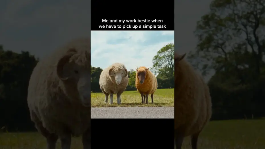 Video for the film The Sheep Detectives — Everything is a two person job.