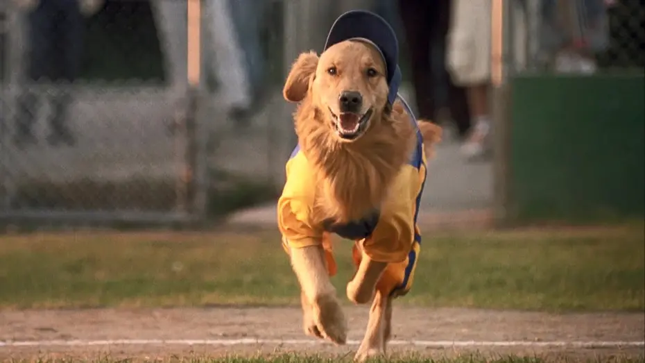 Video for the film Air Bud: Seventh Inning Fetch — Air Bud 4: Seventh Inning Fetch (2002) ORIGINAL TRAILER [HD]