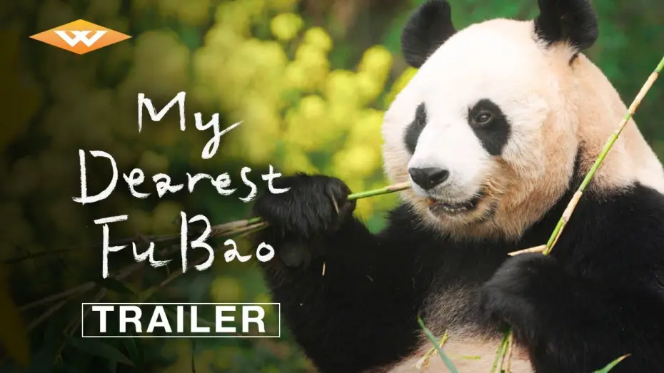 Video for the film My Dearest Fu Bao — Official Trailer [Subtitled]