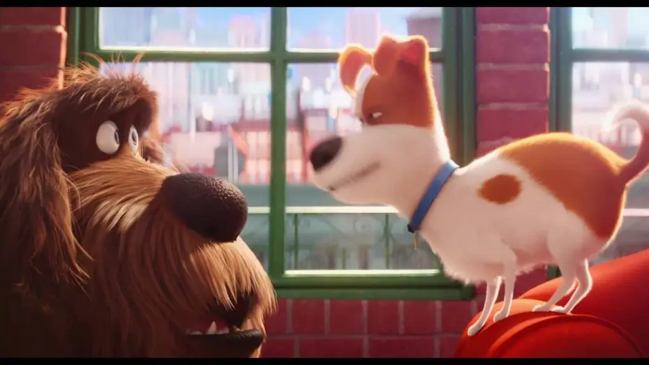 Video for the film The Secret Life of Pets — Comme Des Bêtes / Extrait "Max piège Duke" VF [Au cinéma le 27 juillet]