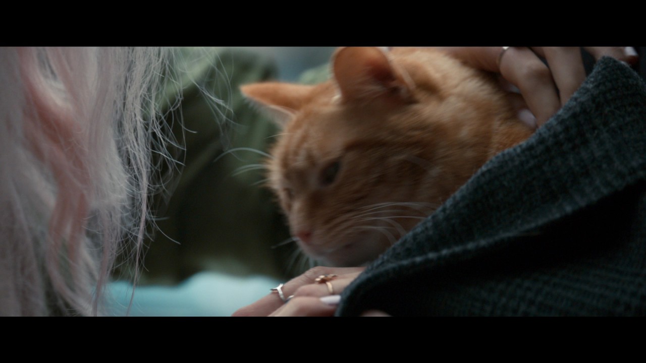 Video for the film A Street Cat Named Bob — Уличный Кот По Кличке Боб - Trailer