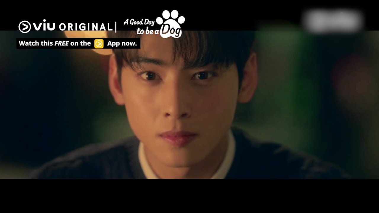 Video for the film Dog Days — Will Cha Eun Woo Kiss the Dog Version of Park Gyu Young? 🐶 | Viu Original, A Good Day to be a Dog