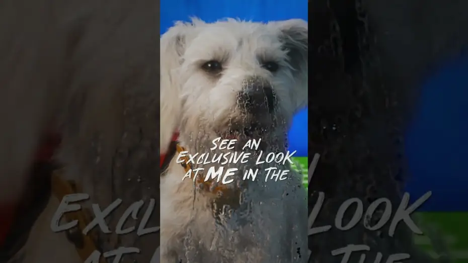 Video for the film Supergirl — Tomorrow is the big day 🐾 Catch Krypto in Puppy Bowl