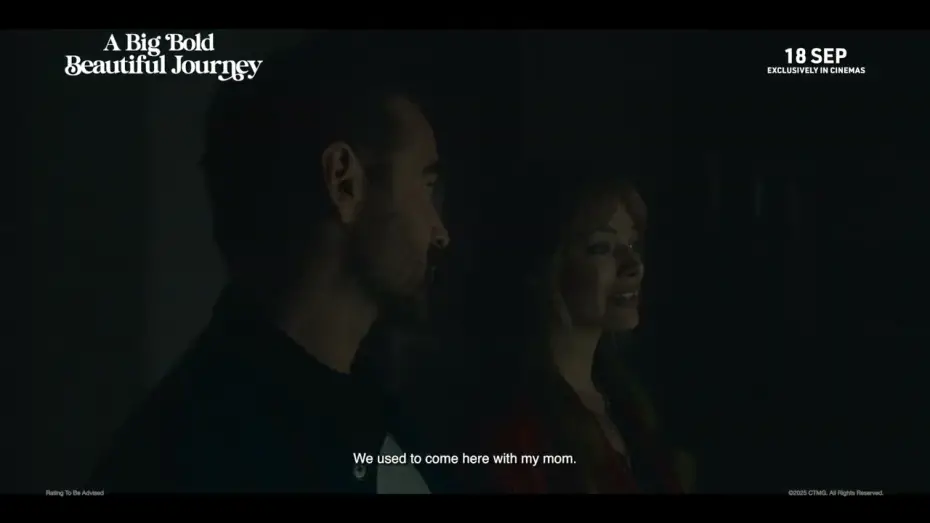 Video for the film A Big Bold Beautiful Journey — Share