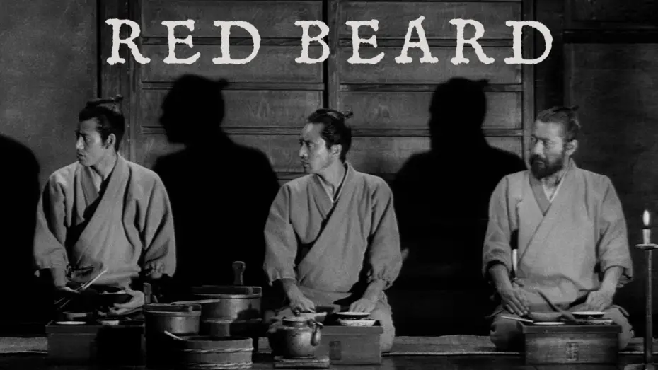 Video for the film Red Beard — Clip