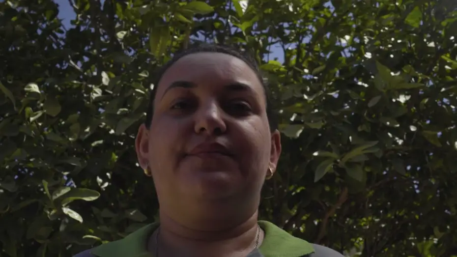 Video for the film O Ponto do Mel — TRAILER - O PONTO DO MEL