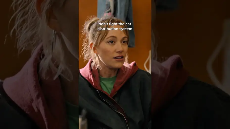 Video for the film Reminders of Him — don't question the cat distribution system
