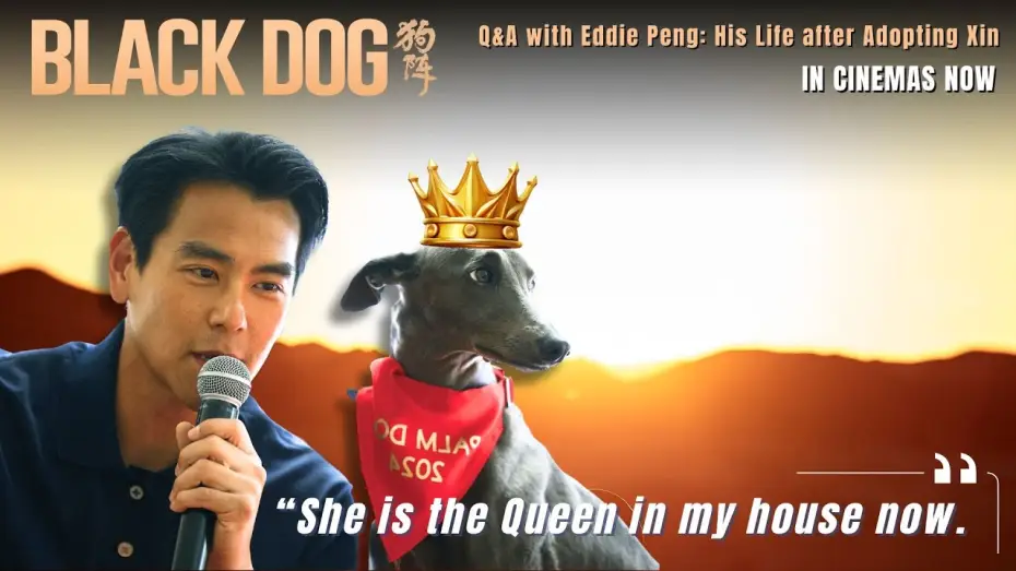 Video for the film Black Dog — Q&A with Eddie Peng: "Xin is the Queen in my house now."