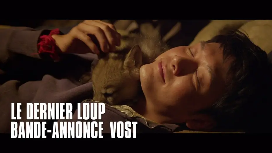Video for the film Wolf Totem — Le dernier loup - bande-annonce VOST