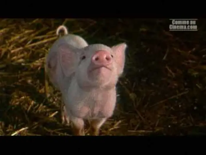 Video for the film Charlotte's Web — Le Petit Monde de Charlotte - Bande Annonce [VF]