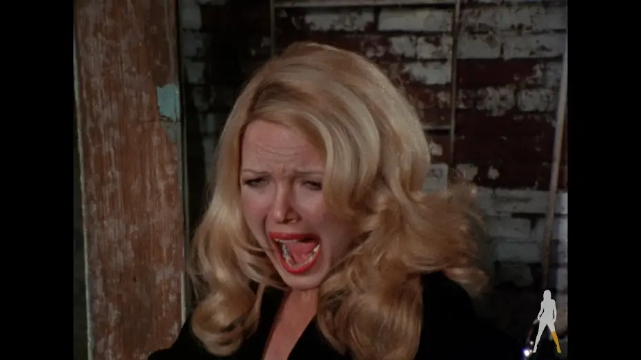 Video for the film Bloodsucking Freaks — Blood Sucking Freaks (1976) [Vinegar Syndrome 4K Ultra HD + Blu-ray  Promo Trailer]